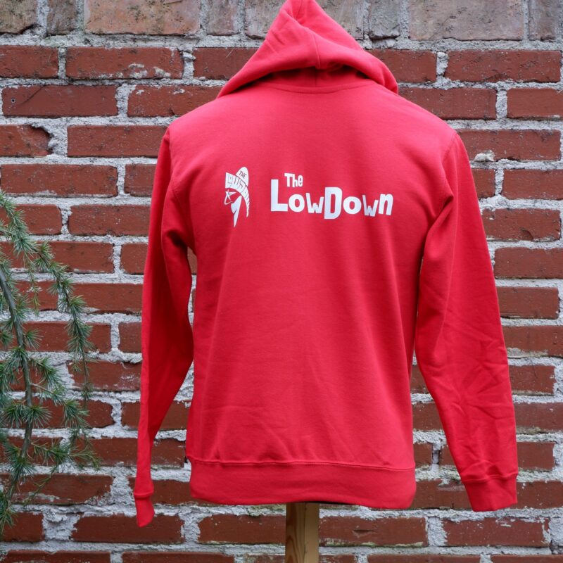 The LowDown Zipper Hoodie – Bild 4